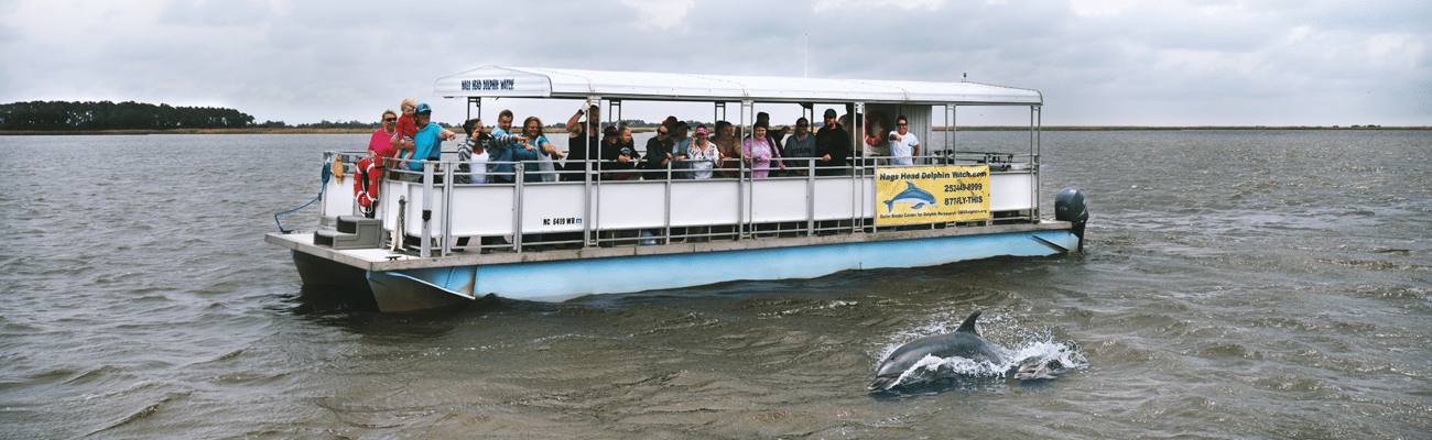 dolphin tours near me